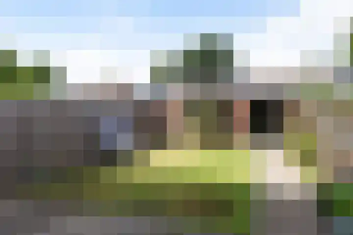 Kruizemuntstraat 665 Apeldoorn thumbnail 9
