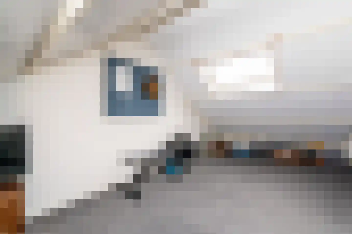 Kruizemuntstraat 683 Apeldoorn thumbnail 19