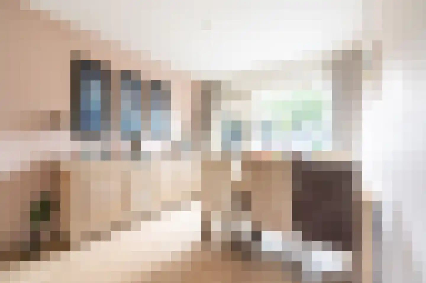 Kruizemuntstraat 683 Apeldoorn thumbnail 9