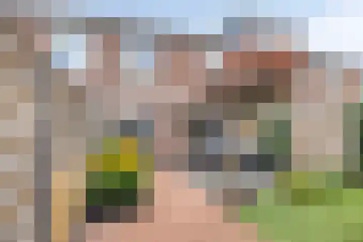 Kruizemuntstraat 701 Apeldoorn thumbnail 28