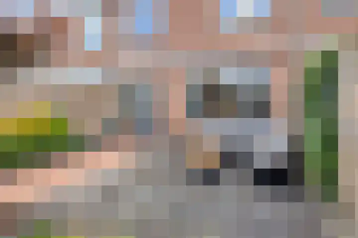 Kruizemuntstraat 701 Apeldoorn thumbnail 29