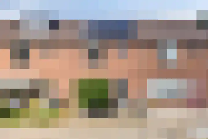Kruizemuntstraat 701 Apeldoorn thumbnail 33