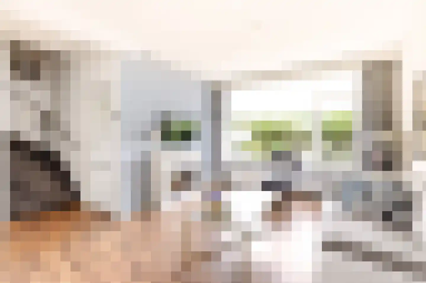 Kruizemuntstraat 73 Apeldoorn thumbnail 10