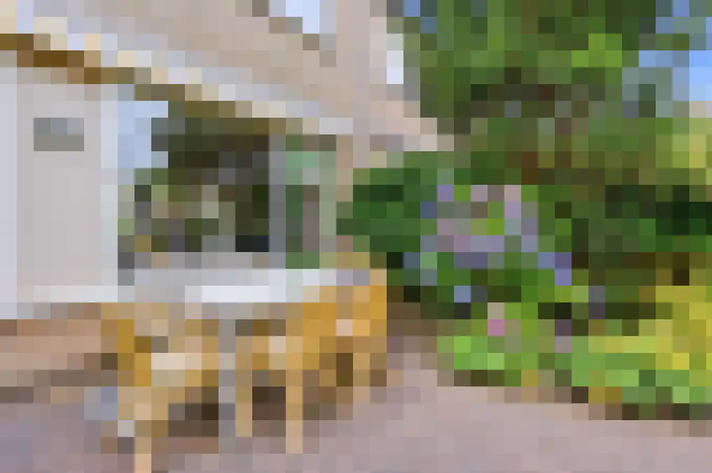 Kruizemuntstraat 73 Apeldoorn thumbnail 12