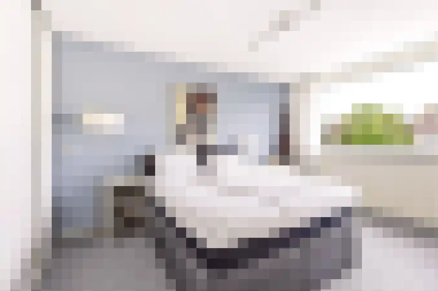 Kruizemuntstraat 73 Apeldoorn thumbnail 19