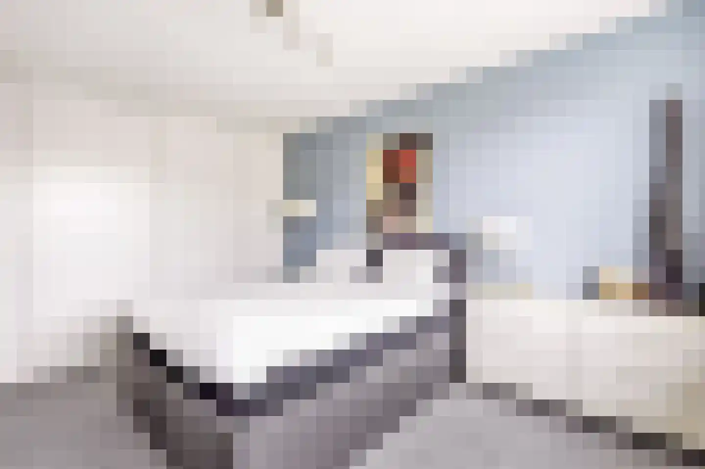 Kruizemuntstraat 73 Apeldoorn thumbnail 20