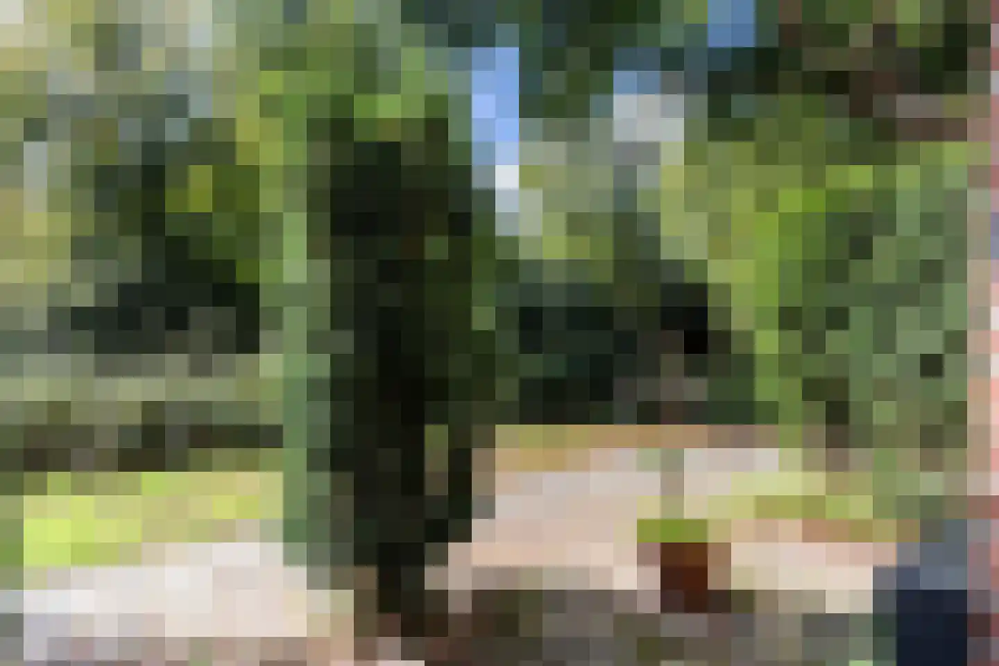 Kruizemuntstraat 867 Apeldoorn thumbnail 31