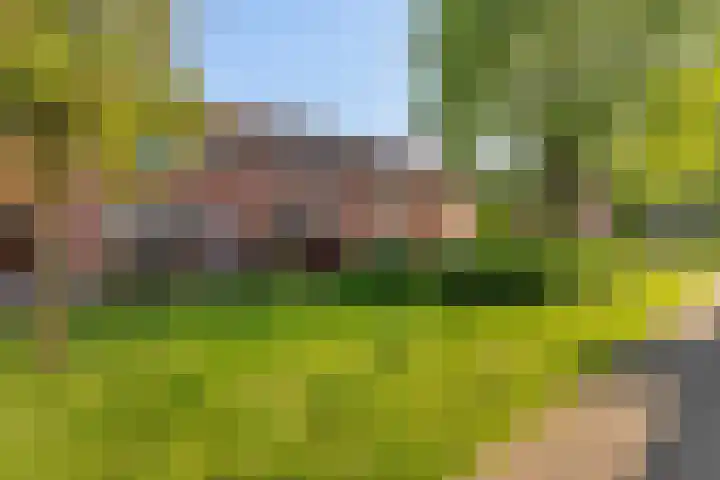 Kruizemuntstraat 891 Apeldoorn thumbnail 43