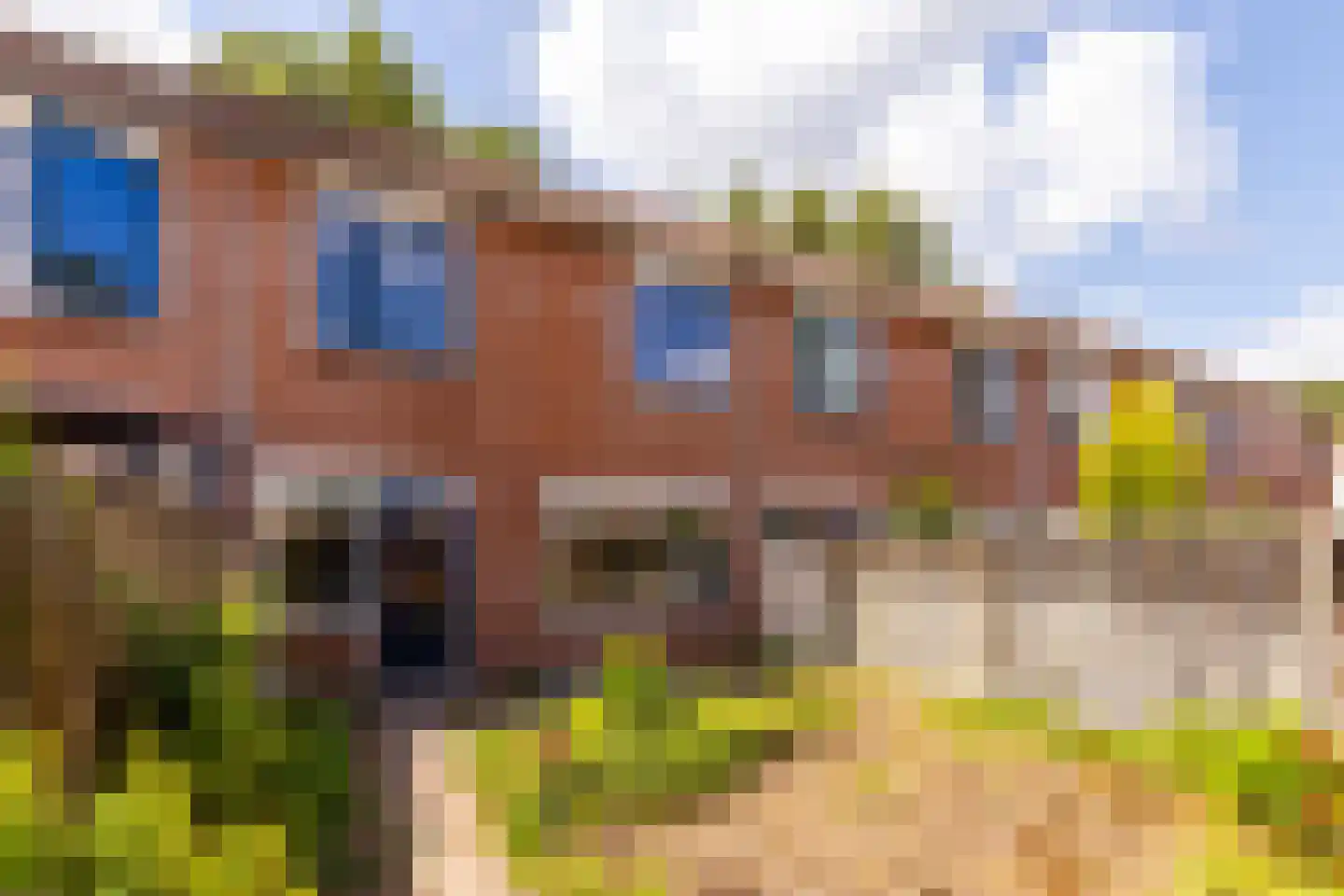 Kruizemuntstraat 909 Apeldoorn thumbnail 16