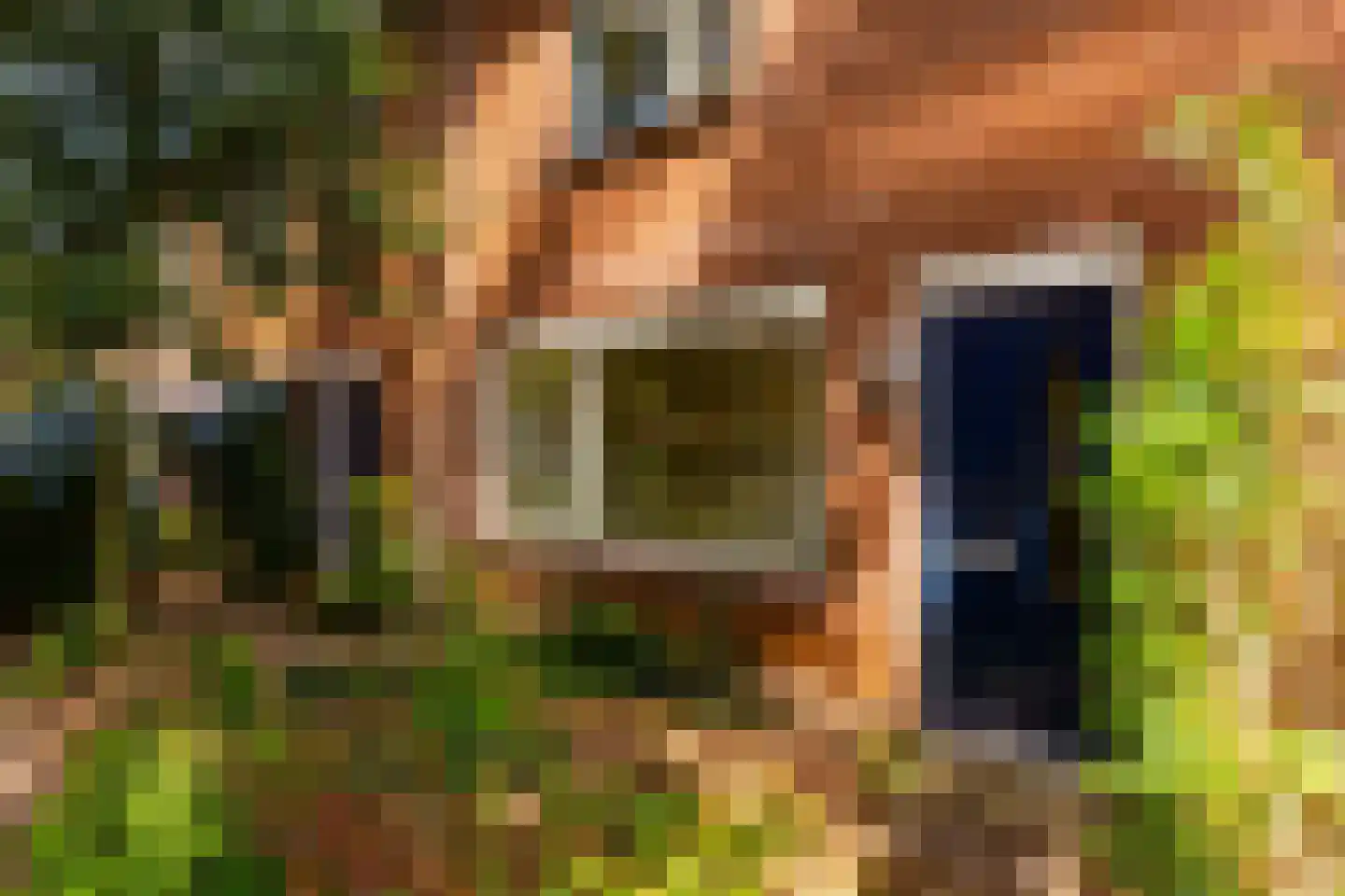 Kruizemuntstraat 909 Apeldoorn thumbnail 4