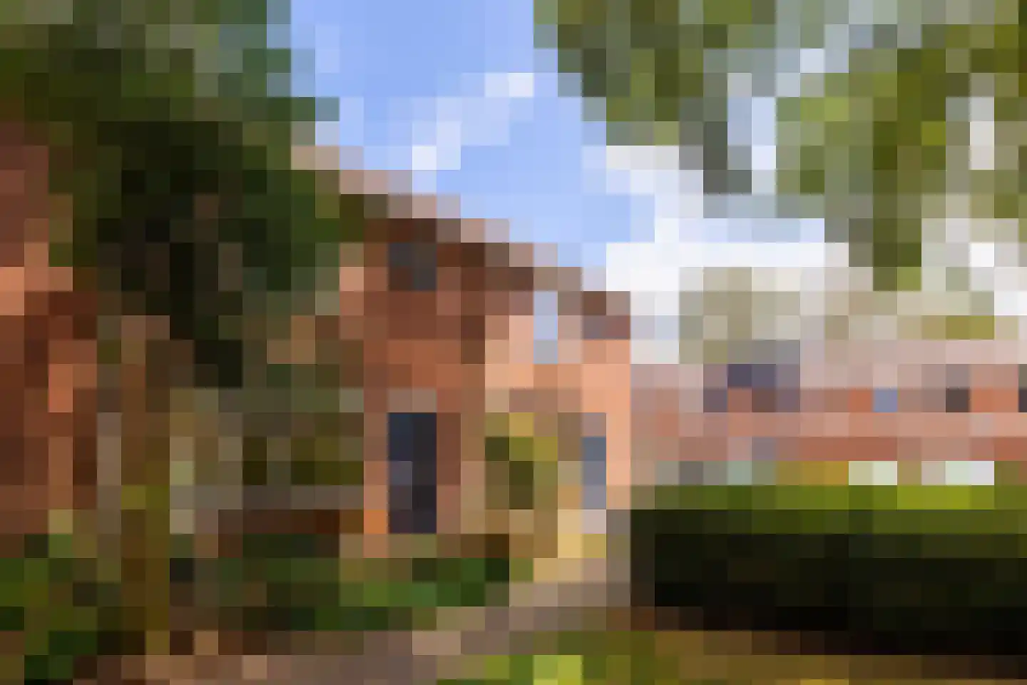 Kruizemuntstraat 909 Apeldoorn thumbnail 5