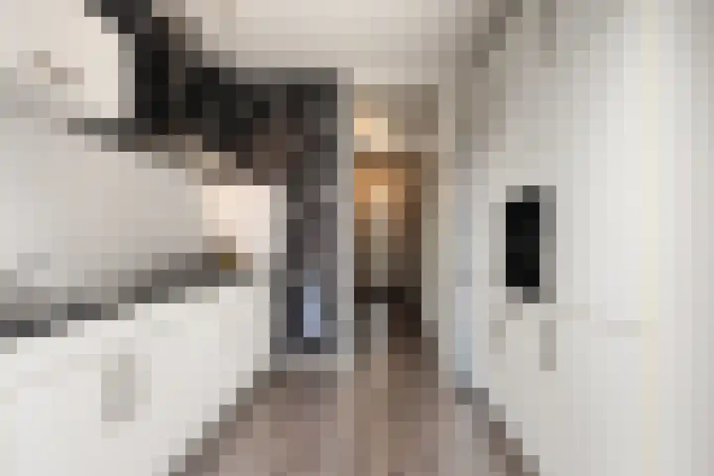 Kruizemuntstraat 915 Apeldoorn thumbnail 13