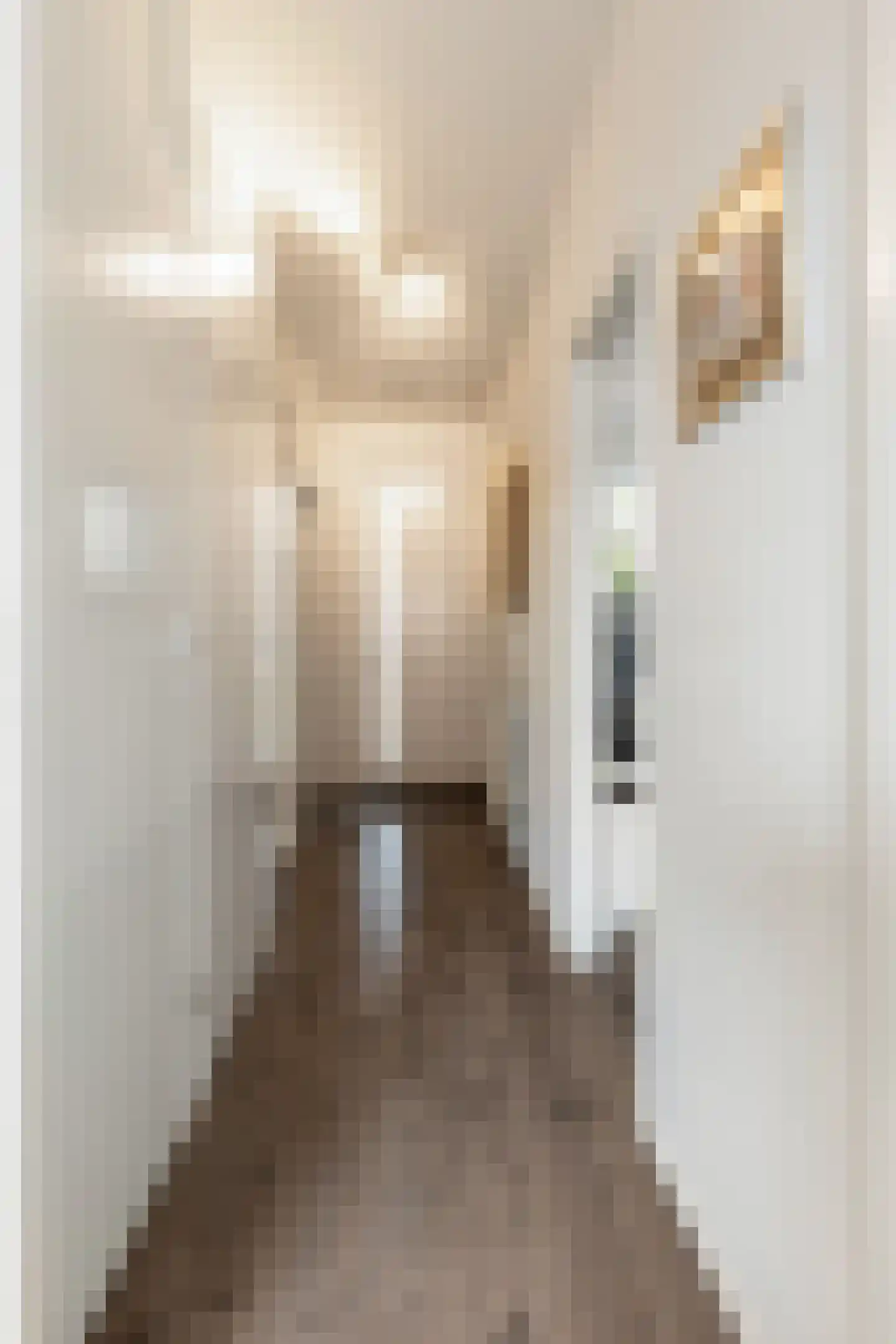 Kruizemuntstraat 915 Apeldoorn thumbnail 14
