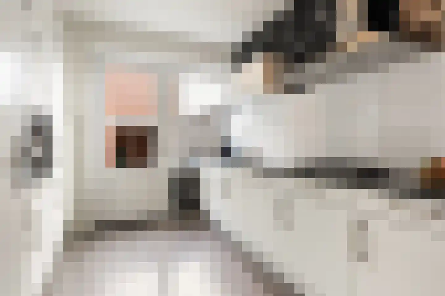 Kruizemuntstraat 915 Apeldoorn thumbnail 9