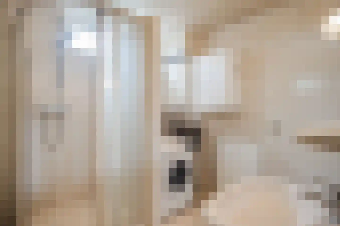 Kruizemuntstraat 94 Apeldoorn thumbnail 17