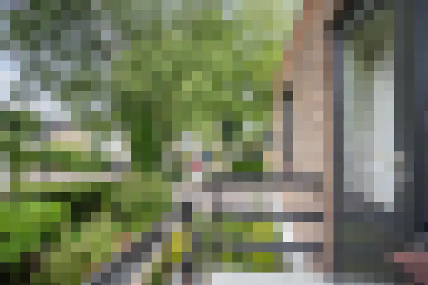 Kruizemuntstraat 94 Apeldoorn thumbnail 27