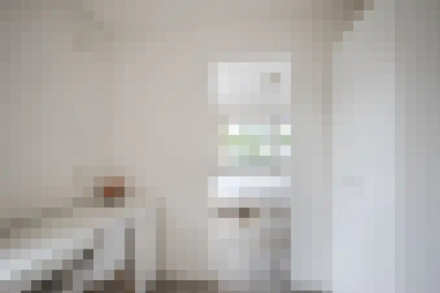 Kruizemuntstraat 94 Apeldoorn thumbnail 31