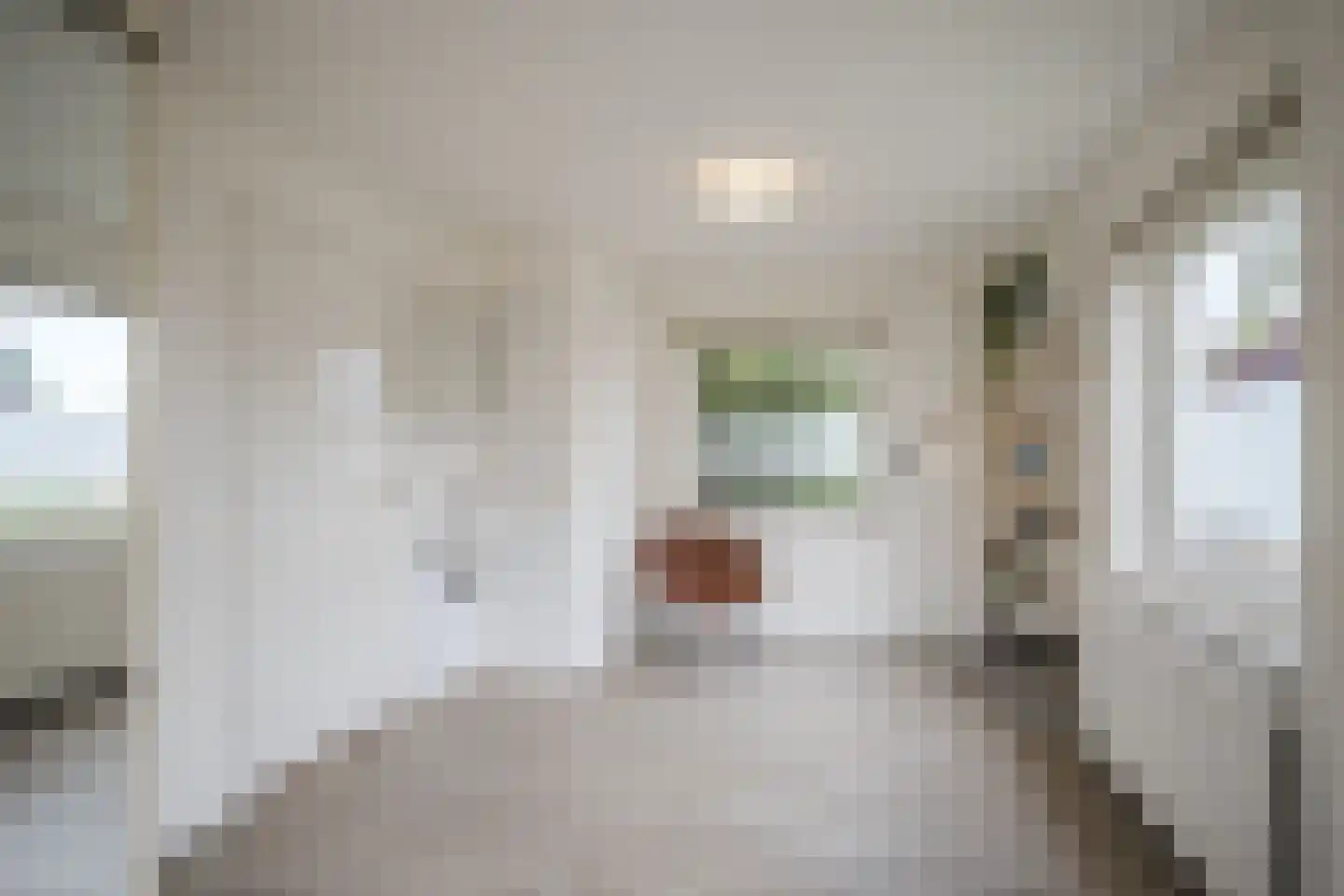 Kruizemuntstraat 94 Apeldoorn thumbnail 34