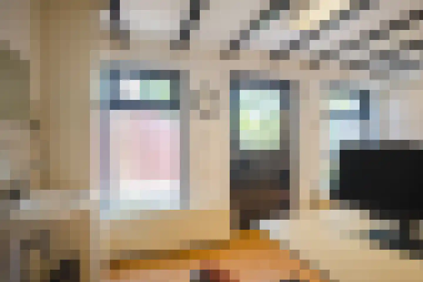 Kruizemuntstraat 94 Apeldoorn thumbnail 45
