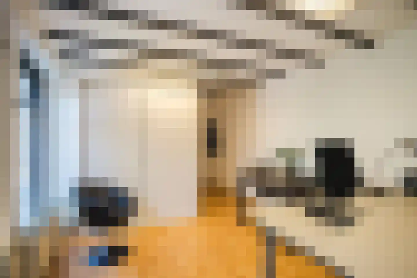 Kruizemuntstraat 94 Apeldoorn thumbnail 46
