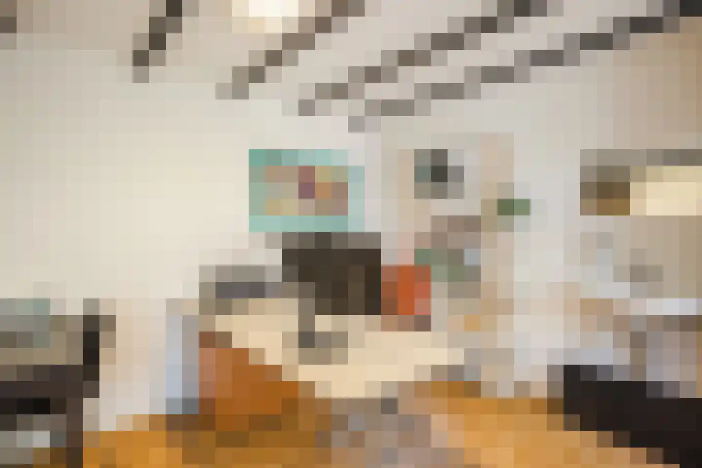 Kruizemuntstraat 94 Apeldoorn thumbnail 47