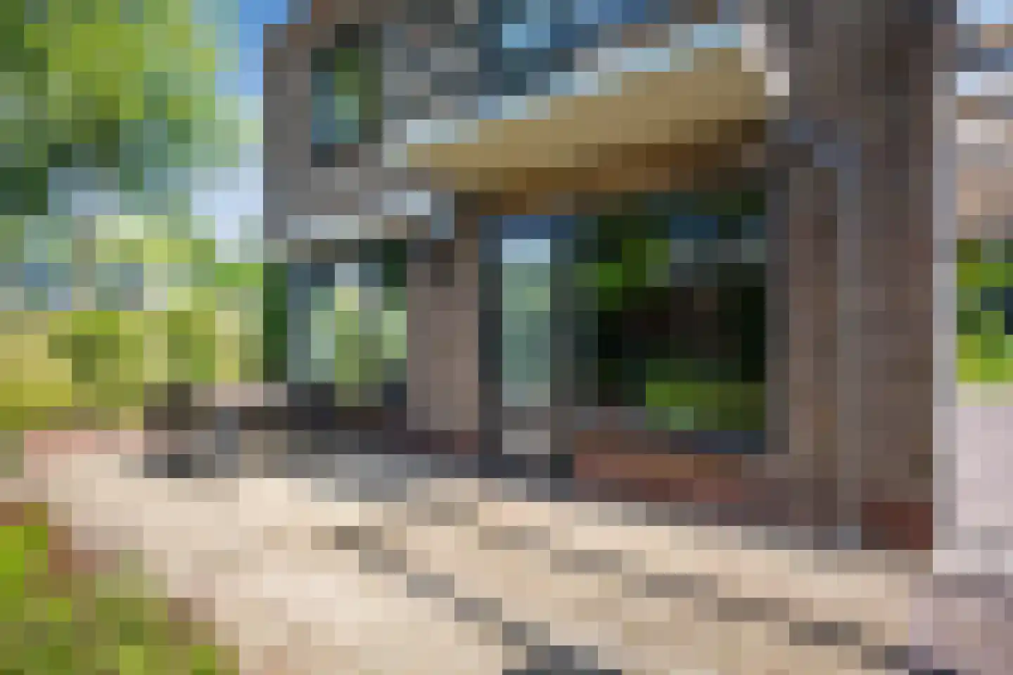 Kruizemuntstraat 94 Apeldoorn thumbnail 50