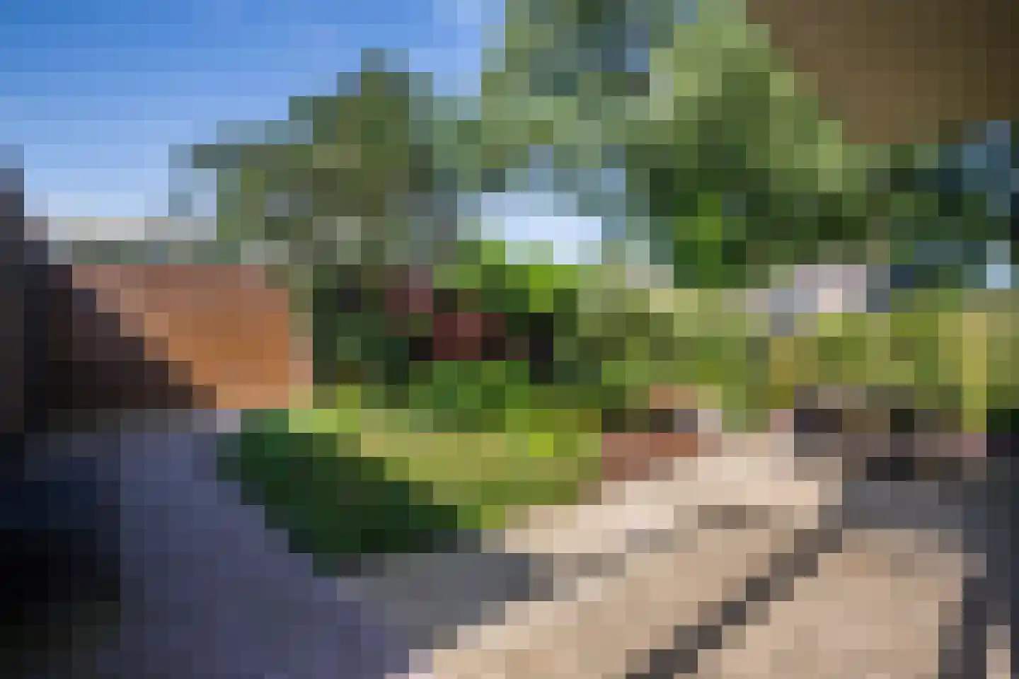 Kruizemuntstraat 94 Apeldoorn thumbnail 51