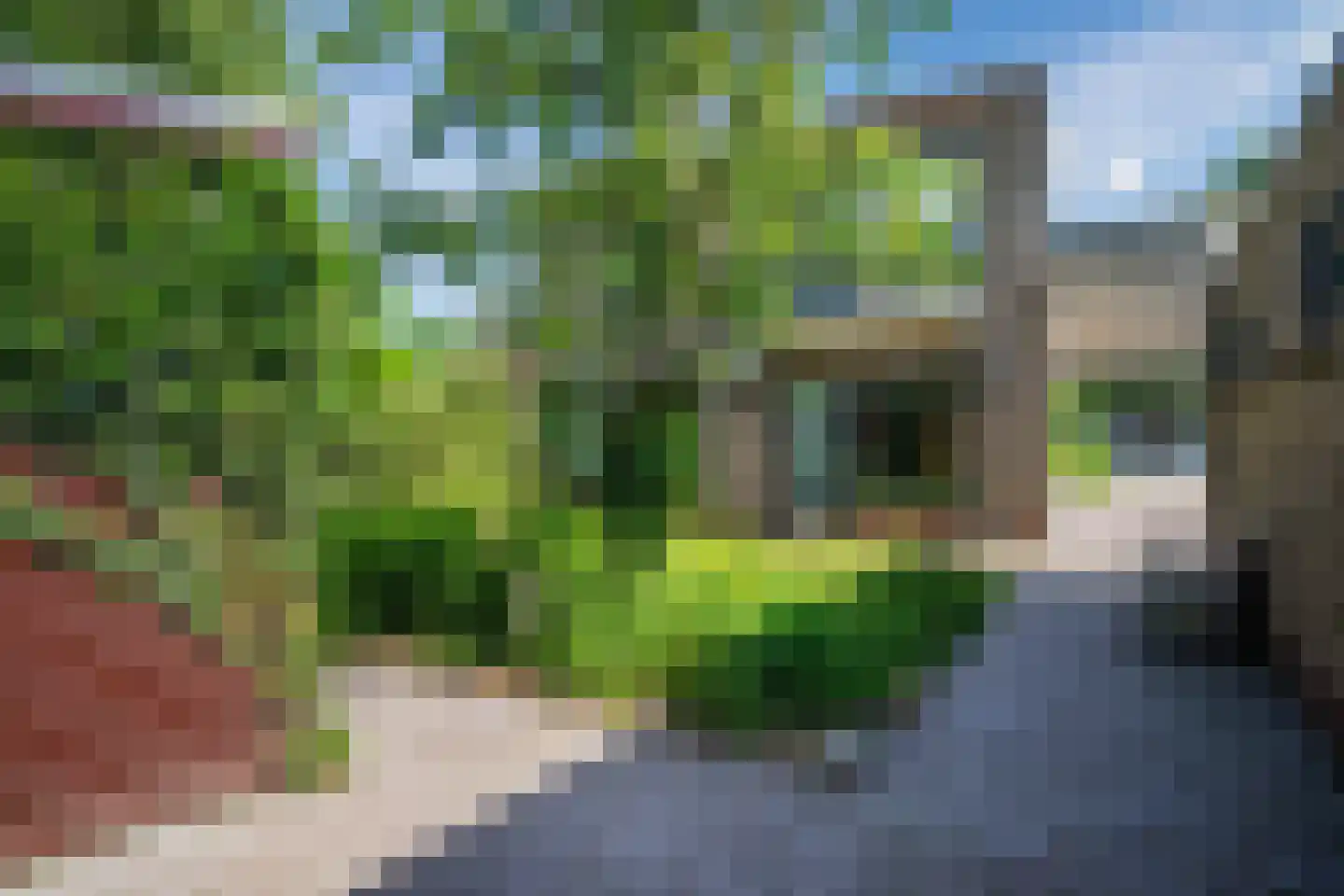 Kruizemuntstraat 94 Apeldoorn thumbnail 52