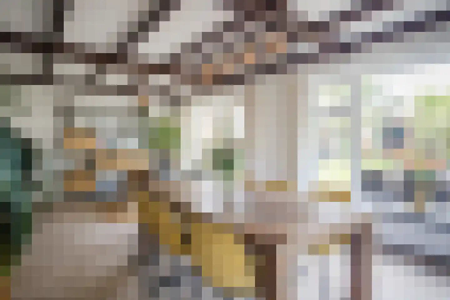 Kruizemuntstraat 94 Apeldoorn thumbnail 6