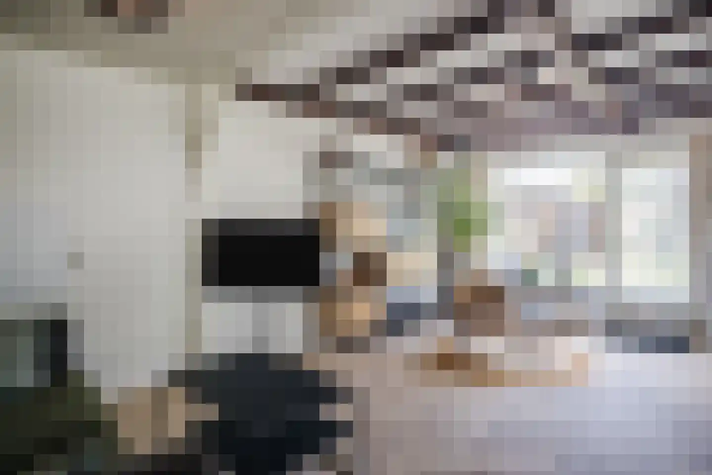 Kruizemuntstraat 94 Apeldoorn thumbnail 8