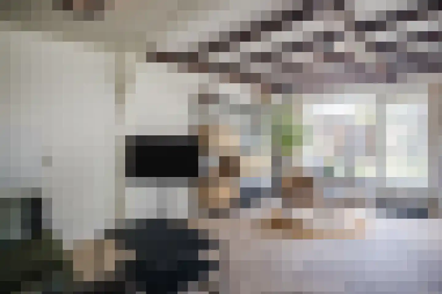 Kruizemuntstraat 94 Apeldoorn thumbnail 8