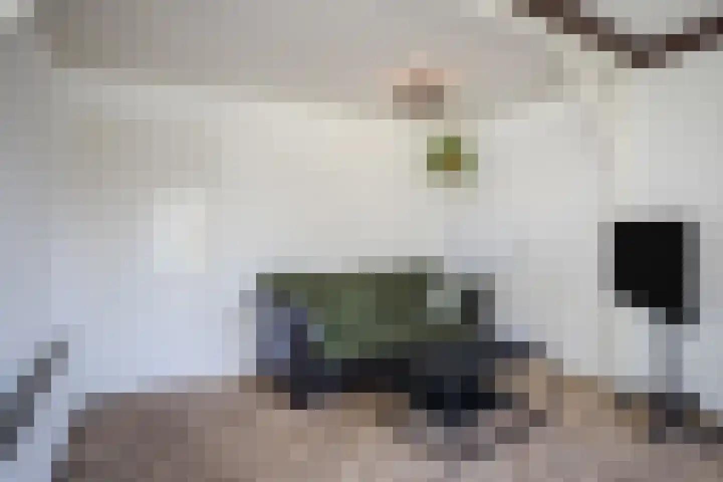 Kruizemuntstraat 94 Apeldoorn thumbnail 9