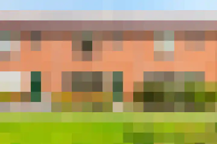 Kruizemuntstraat 985 Apeldoorn thumbnail 37