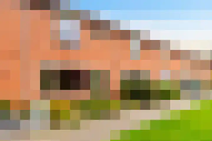 Kruizemuntstraat 985 Apeldoorn thumbnail 5