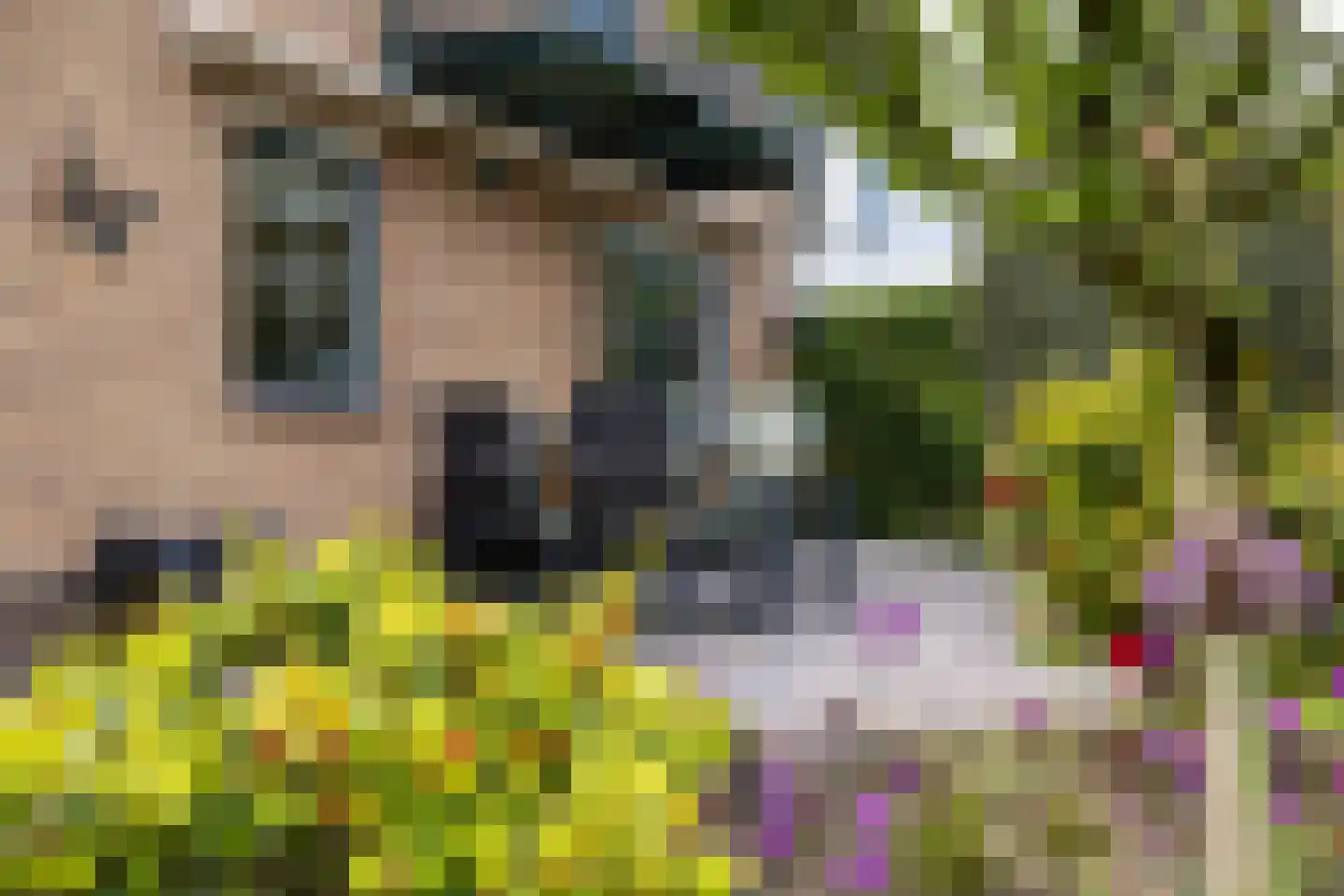 Kruizemuntveld 29 Doetinchem thumbnail 19