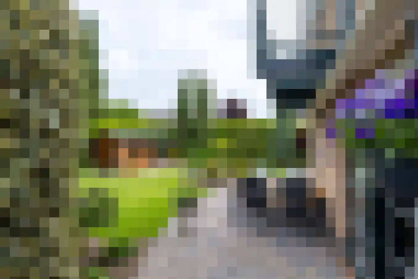 Kruizemuntveld 29 Doetinchem thumbnail 20