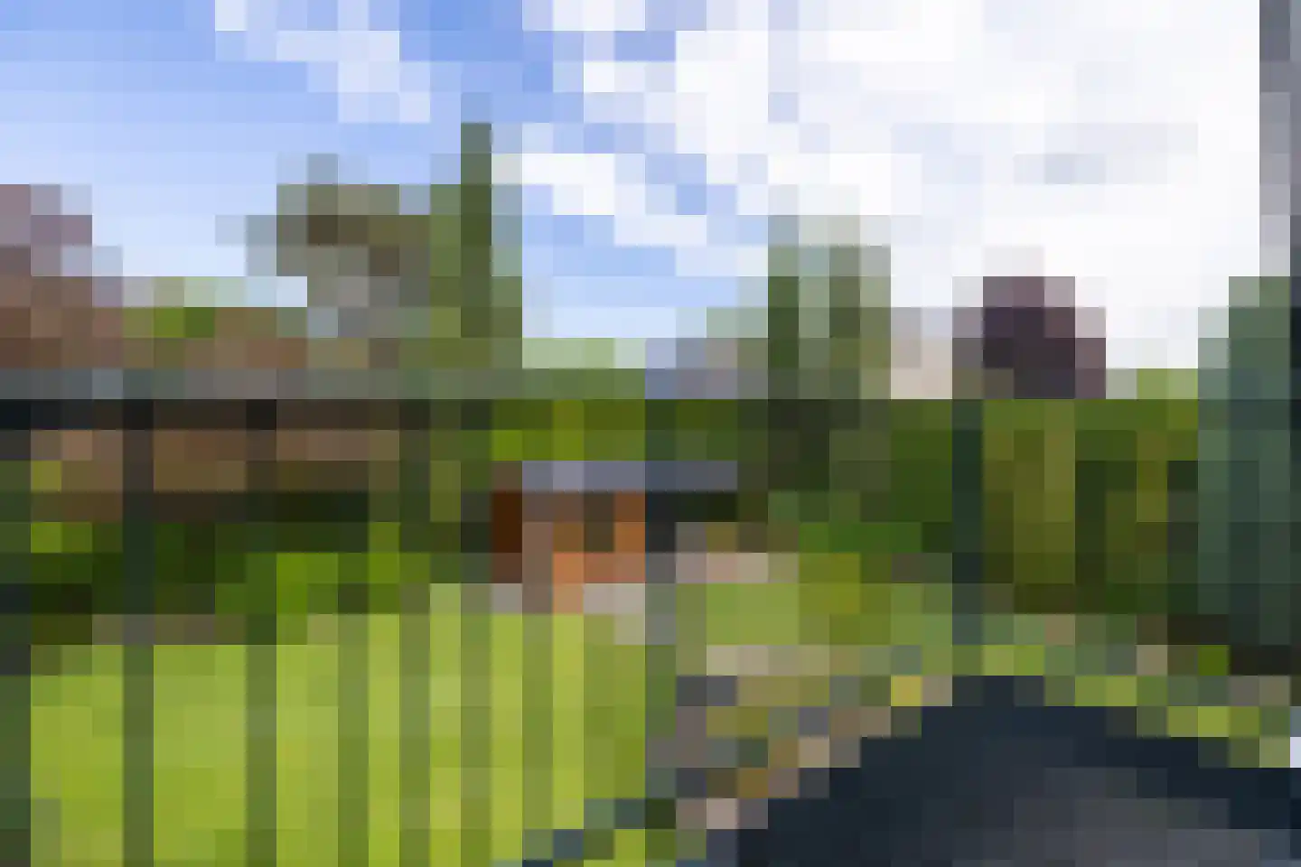 Kruizemuntveld 29 Doetinchem thumbnail 39