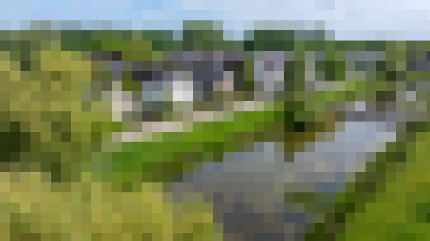 Kruizemuntveld 29 Doetinchem thumbnail 50