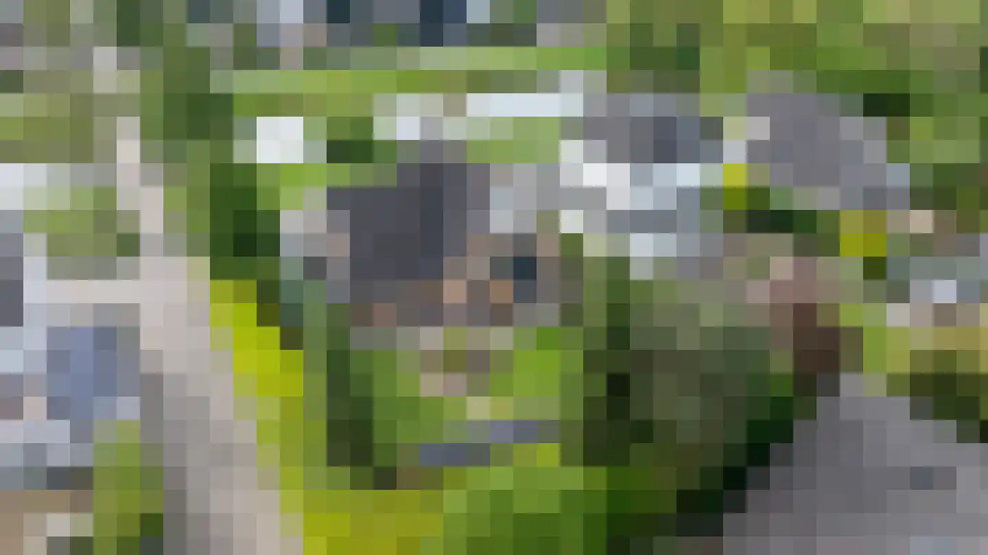Kruizemuntveld 29 Doetinchem thumbnail 52