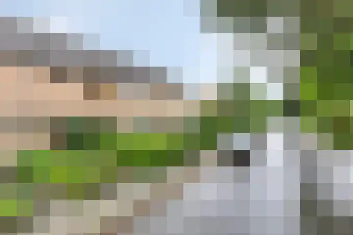 Kruizemuntweg 19 Haren Gn thumbnail 28