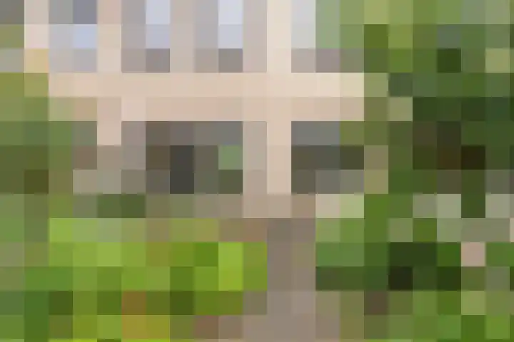 Kruizemuntweg 19 Haren Gn thumbnail 29