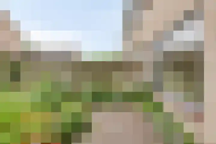 Kruizemuntweg 19 Haren Gn thumbnail 30