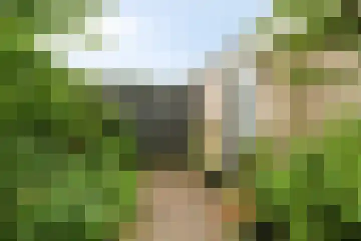 Kruizemuntweg 19 Haren Gn thumbnail 31