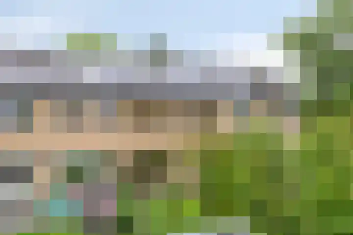 Kruizemuntweg 19 Haren Gn thumbnail 32