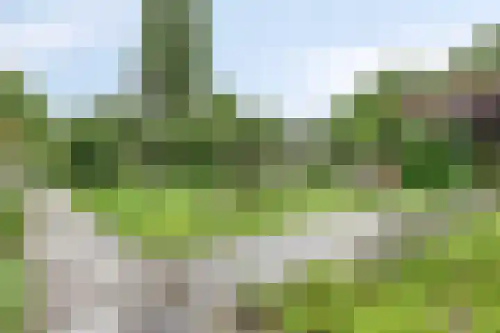Kruizemuntweg 19 Haren Gn thumbnail 33