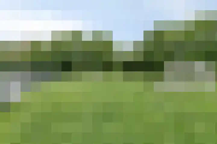 Kruizemuntweg 19 Haren Gn thumbnail 35