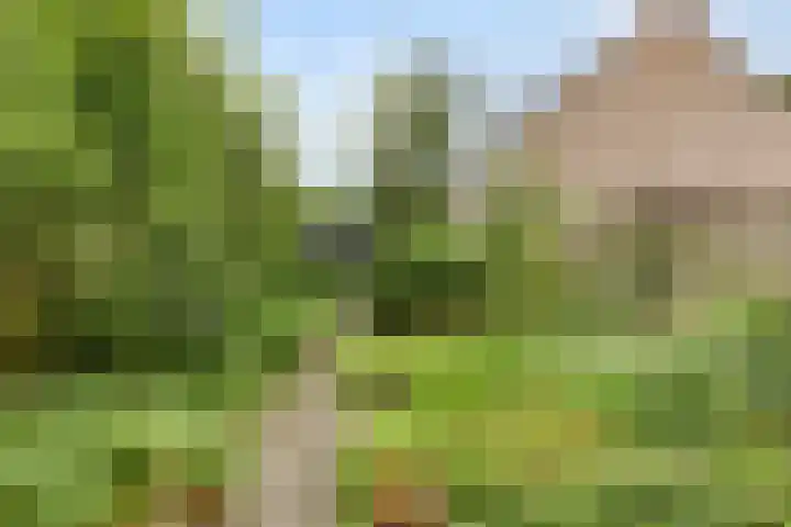 Kruizemuntweg 19 Haren Gn thumbnail 5