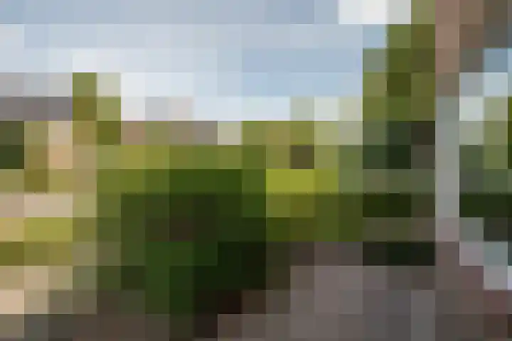 Kruizemuntweg 21 Haren Gn thumbnail 11
