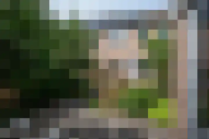Kruizemuntweg 21 Haren Gn thumbnail 32