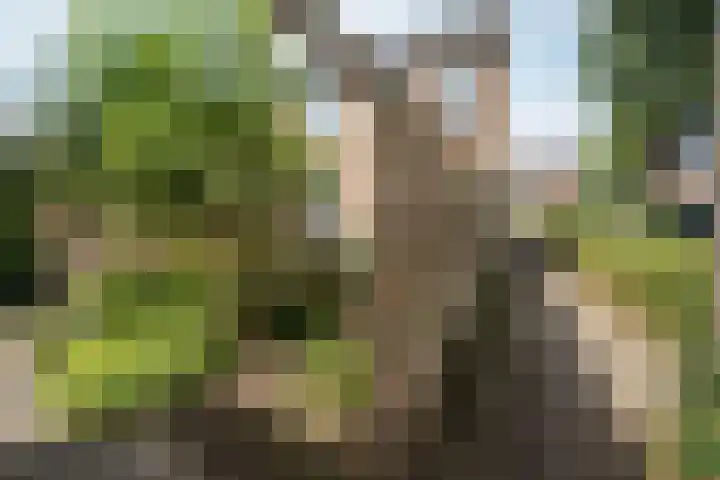Kruizemuntweg 21 Haren Gn thumbnail 35